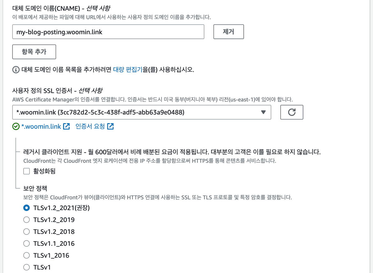 대체 도메인 이름 설정